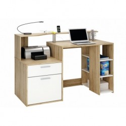 Bureau Informatique