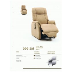 Fauteuil de Relaxation Electrique Releveur