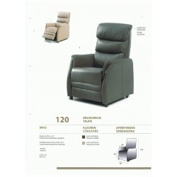 Fauteuil de Relaxation Electrique Releveur